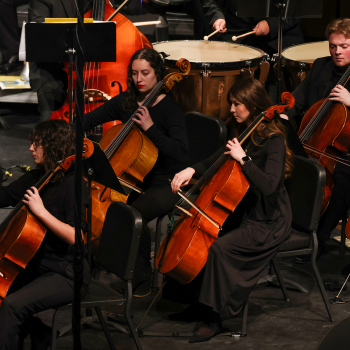 Copy of Faure 07